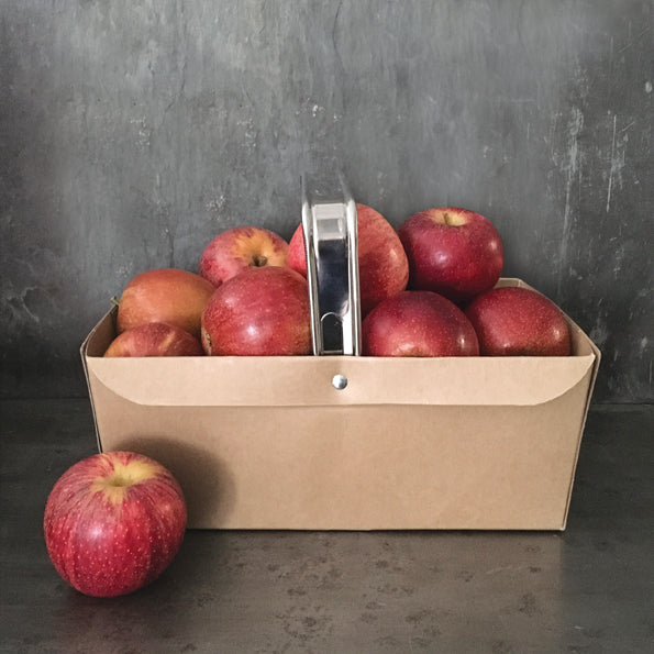 Large kraft punnet