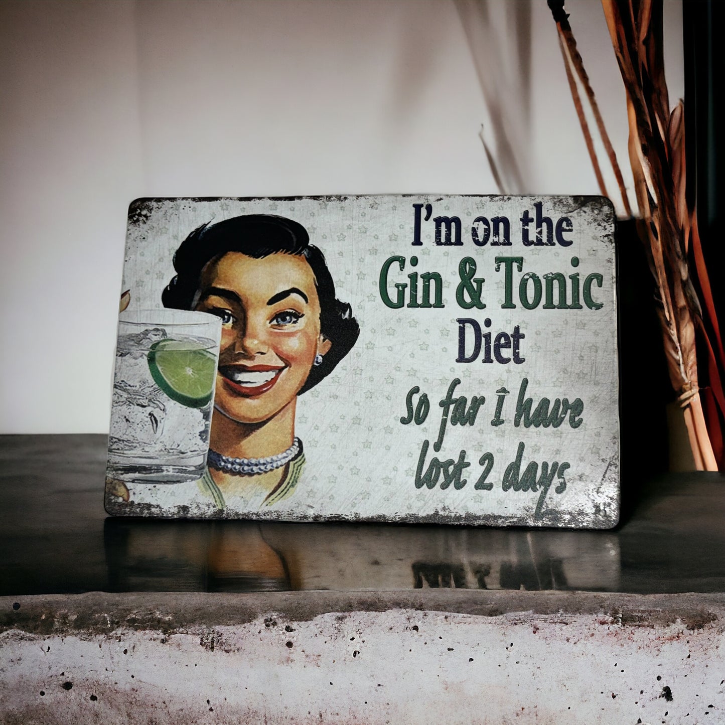 I'M ON THE GIN & TONIC DIET, SO FAR I HAVE LOST 2 DAYS metal sign plague