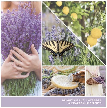 Yankee Candle - Lemon Lavender (37g)